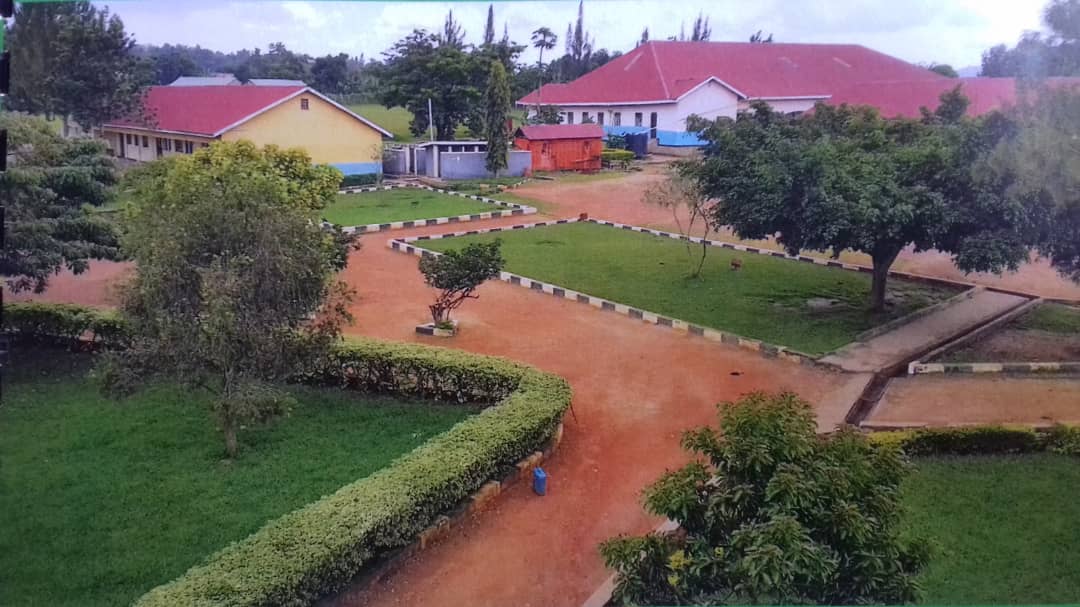 WhatsApp Image 2021-03-31 at 11.35.08 AM.jpeg